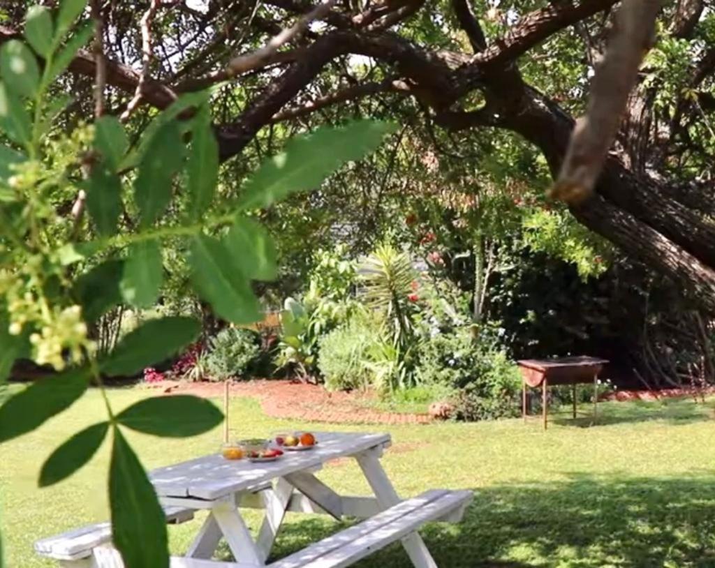 Choice Backpackers Lodge بولاوايو المظهر الخارجي الصورة