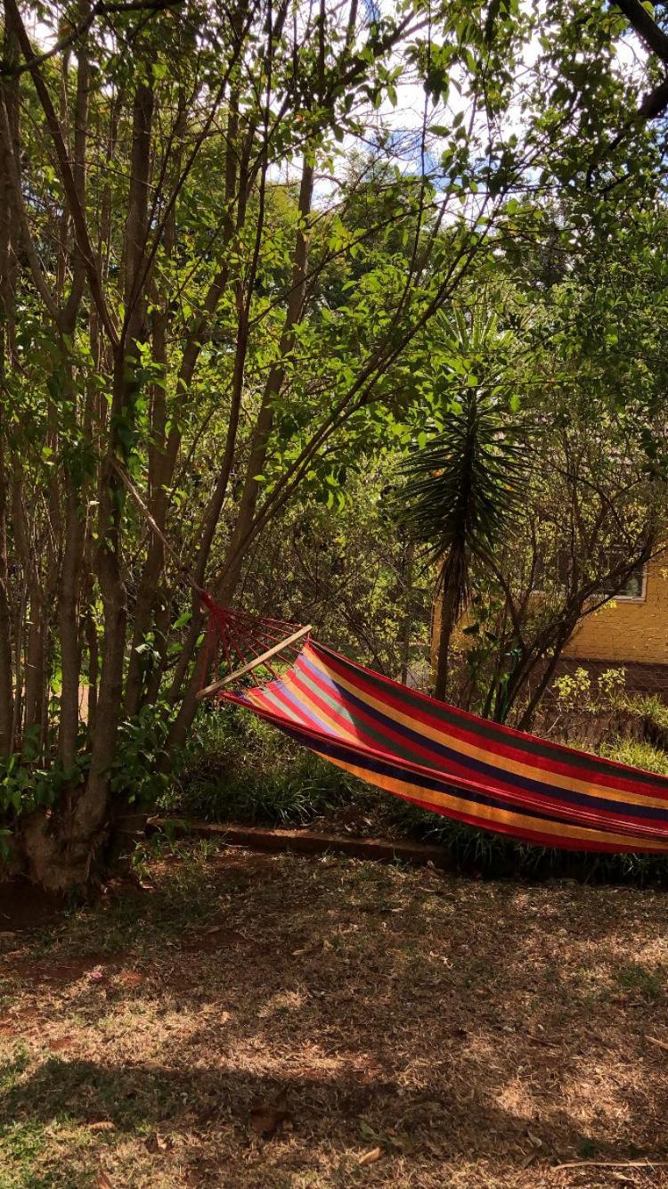 Choice Backpackers Lodge بولاوايو المظهر الخارجي الصورة