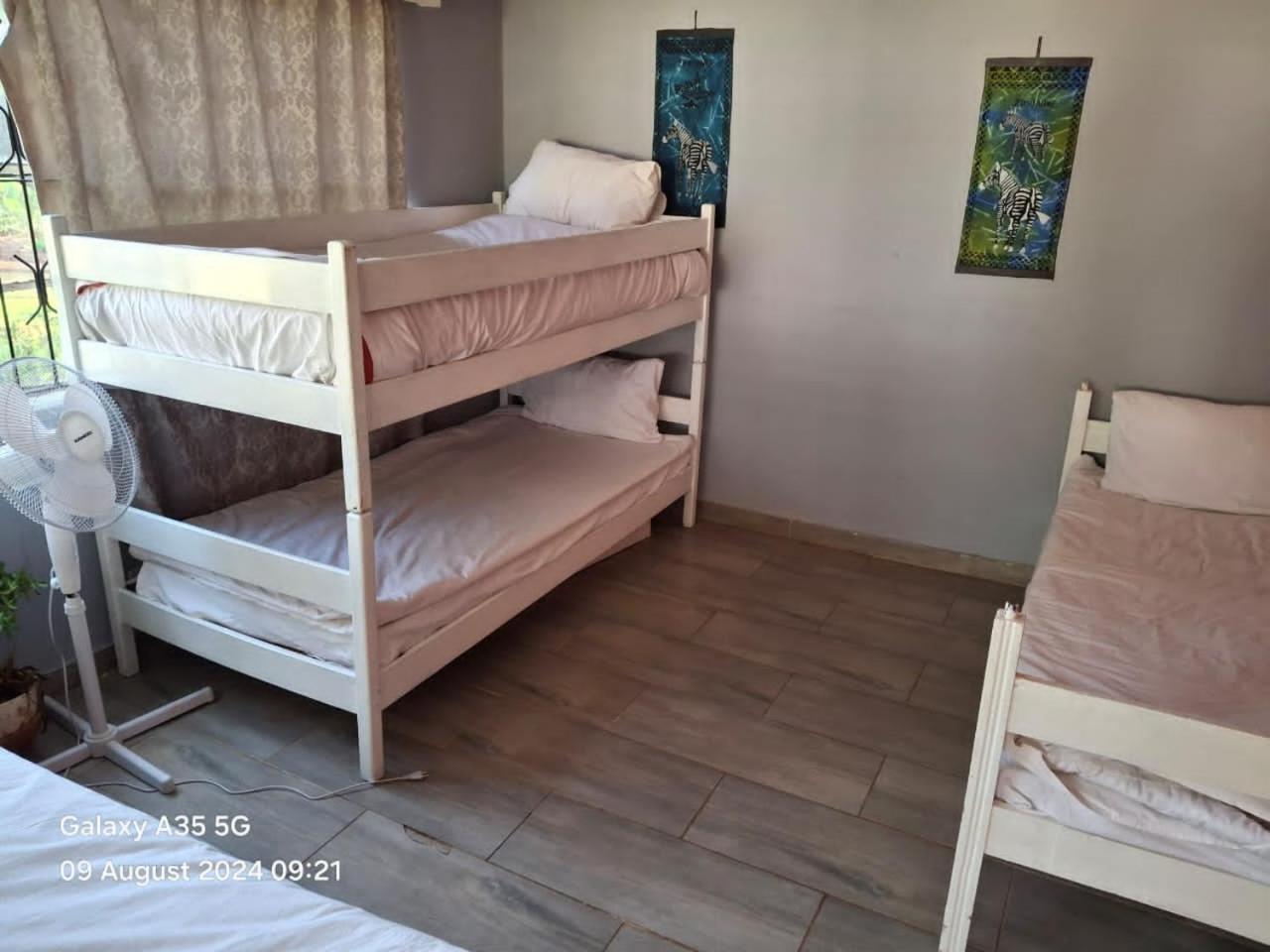 Choice Backpackers Lodge بولاوايو المظهر الخارجي الصورة